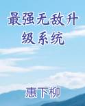 最强无敌升级系统