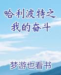 哈利波特之我的奋斗
