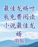 最佳龙婿叶辰免费阅读小说最佳龙婿