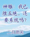 神雕：我已胜五绝，还要系统吗？