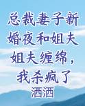 总裁妻子新婚夜和姐夫姐夫缠绵，我杀疯了