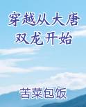 穿越从大唐双龙开始