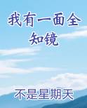 我有一面全知镜免费小说