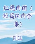红烧肉铺（短篇纯肉合集）