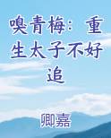 嗅青梅：重生太子不好追