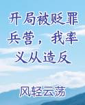 开局被贬罪兵营，我率义从造反在线阅读全文