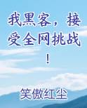 我黑客，接受全网挑战！小说推荐