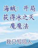 海贼之冰之灭龙魔法师