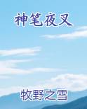 神笔夜叉小说排行榜