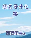 综艺晋升之路