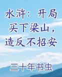 水浒：开局买下梁山，造反不招安
