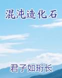 混沌造化石