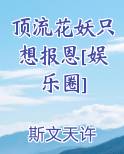 顶流小花是谁