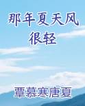 那年夏天风很轻小说全文免费阅读