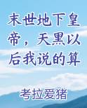 末世地下皇帝，天黑以后我说的算