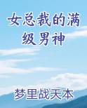 女总裁的满级男神