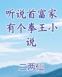 听说首富家有个拳王小说