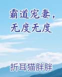 霸道宠妻，无度无度