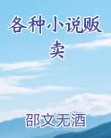 各种小说贩卖