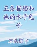 五条猫猫和他的水手兔子