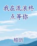 我在流浪终点等你