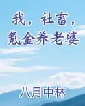我，社畜，氪金养老婆电子书