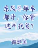 东风导弹车都开你管这叫代驾?