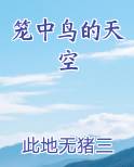 笼中鸟的天空