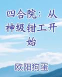 四合院：从神级钳工开始