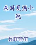 夏满蝉鸣小说