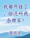 我都开挂了，你还叫我杂牌军？