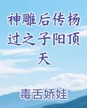 神雕后传杨过之子阳顶天