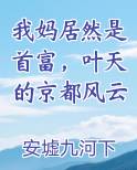 我妈居然是首富，叶天的京都风云