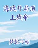 海贼开局顶上战争