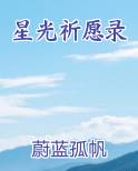 星光祈愿录