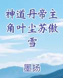 神道丹帝主角叶尘苏傲雪小说全文免费阅读