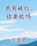我有破烂，你要收吗