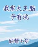 我家大脑子有坑动漫免费
