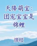 天降萌宝：团宠宝宝是锦鲤