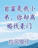 首富是我小弟，你却离婚找豪门