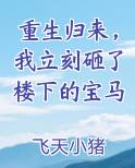 重生归来，我立刻砸了楼下的宝马小说影视剧