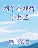 拐了个病娇小太监