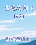 尘光之间（1v2）