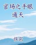 官场之手眼通天