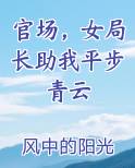 官场，女局长助我平步青云