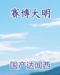 赛博大明